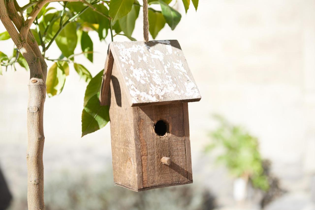 Ferienhaus Lemon Tree Rieden  Dış mekan fotoğraf